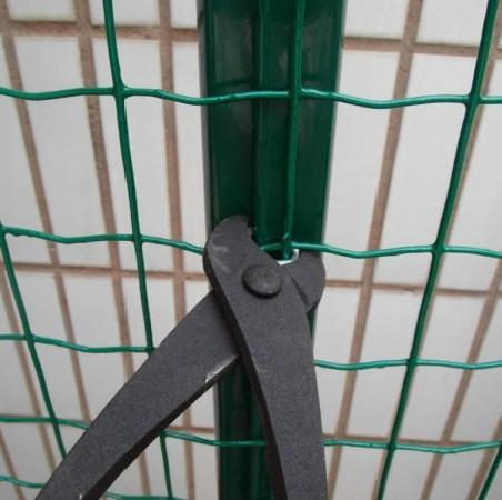 15585878558373d78f90f-d366-411e-881c-4e5d1bba3a27.jpg 15585878558373d78f90f-d366-411e-881c-4e5d1bba3a27.jpg